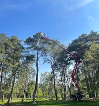 a tree is being trimmed by a crane in a field