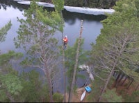 an aerial view of a man climbing a tree near a lake