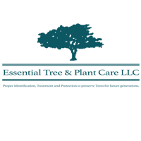 essential tree & plant care logo